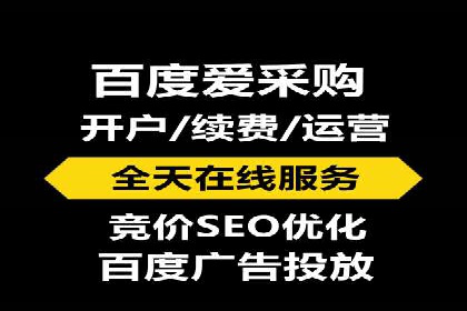 某电商企业如何通过百度竞价广告提升销售额